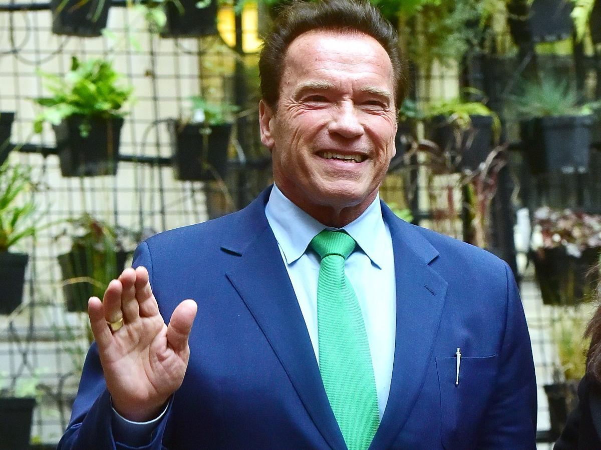 Arnold Schwarzenegger, kulturystyka, brak mięsa
