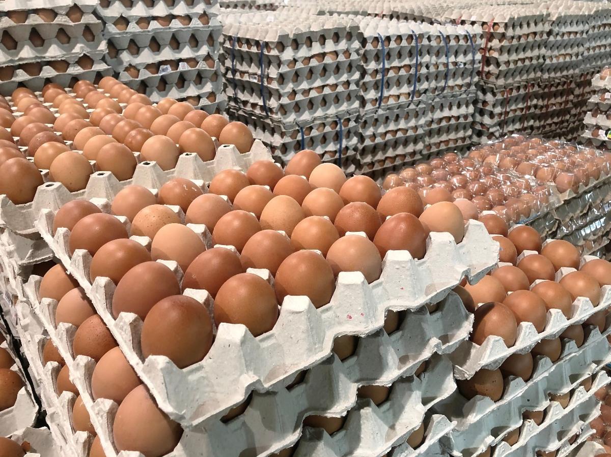 Ceny jaj biją rekordy na skupach. O ile więcej zapłacimy niedługo za jajka? 