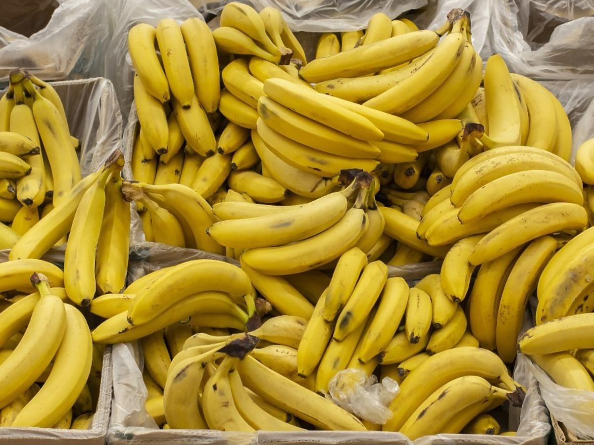 co oznaczają naklejki na bananach