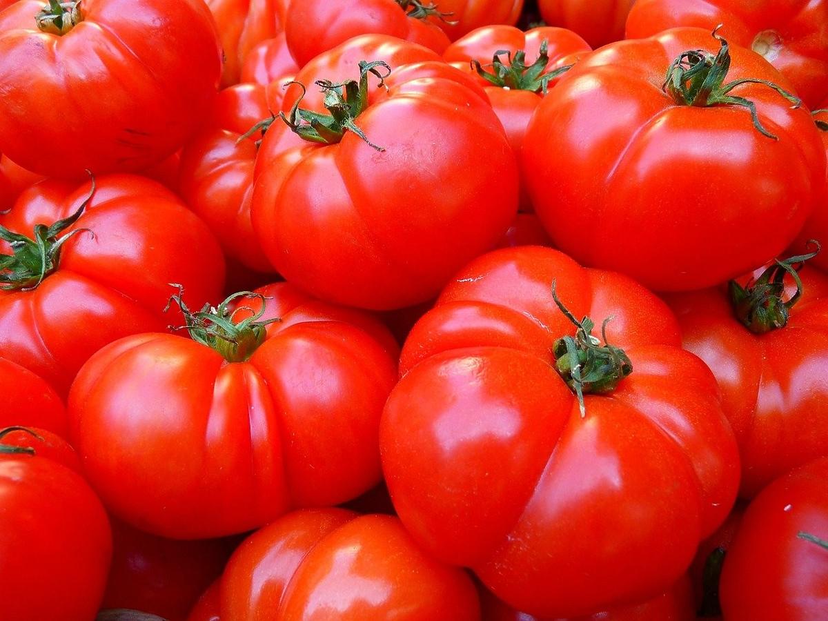 Co się stanie, gdy zjemy za dużo pomidorów? Skutki mogą być katastrofalne