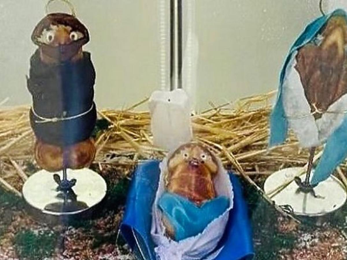 Cukiernia w Sewilii wywołała skandal. Stworzyła szopkę bożonarodzeniową w kształcie narządów płciowych
