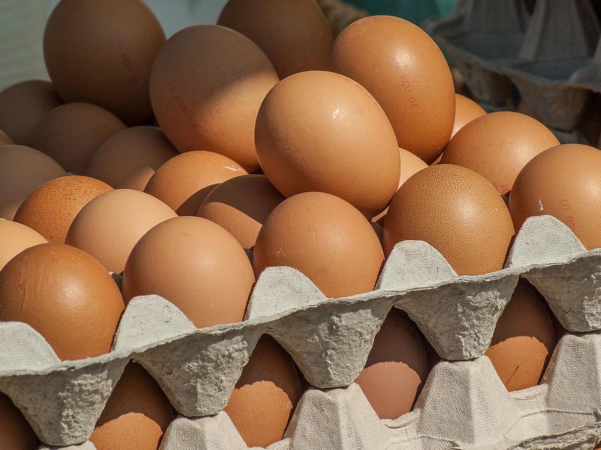 Czy jajka zostaną nowym rekordzistą podwyżek? Eksperci: „Za kilka miesięcy, późną jesienią i zimą”