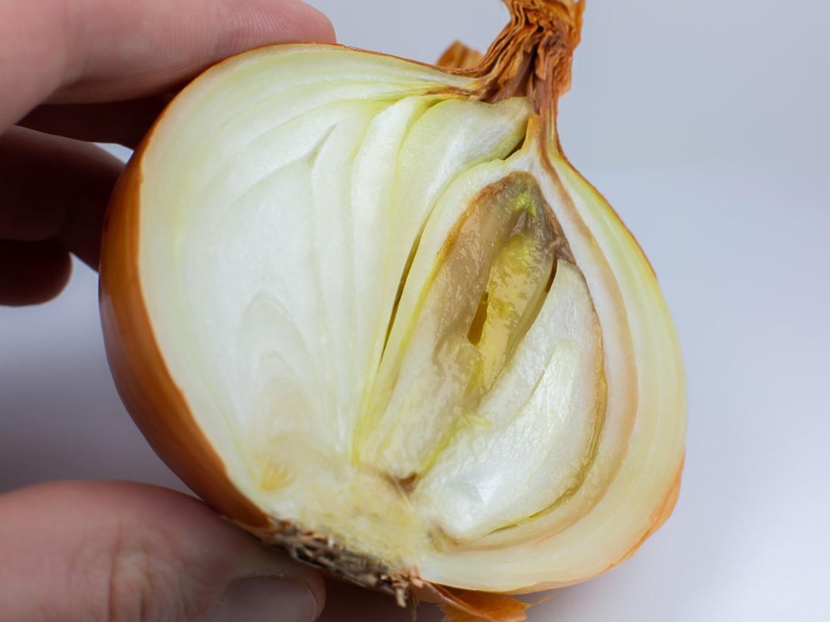 Czy można zjeść cebulę z brązowym środkiem? Lepiej sprawdźcie
