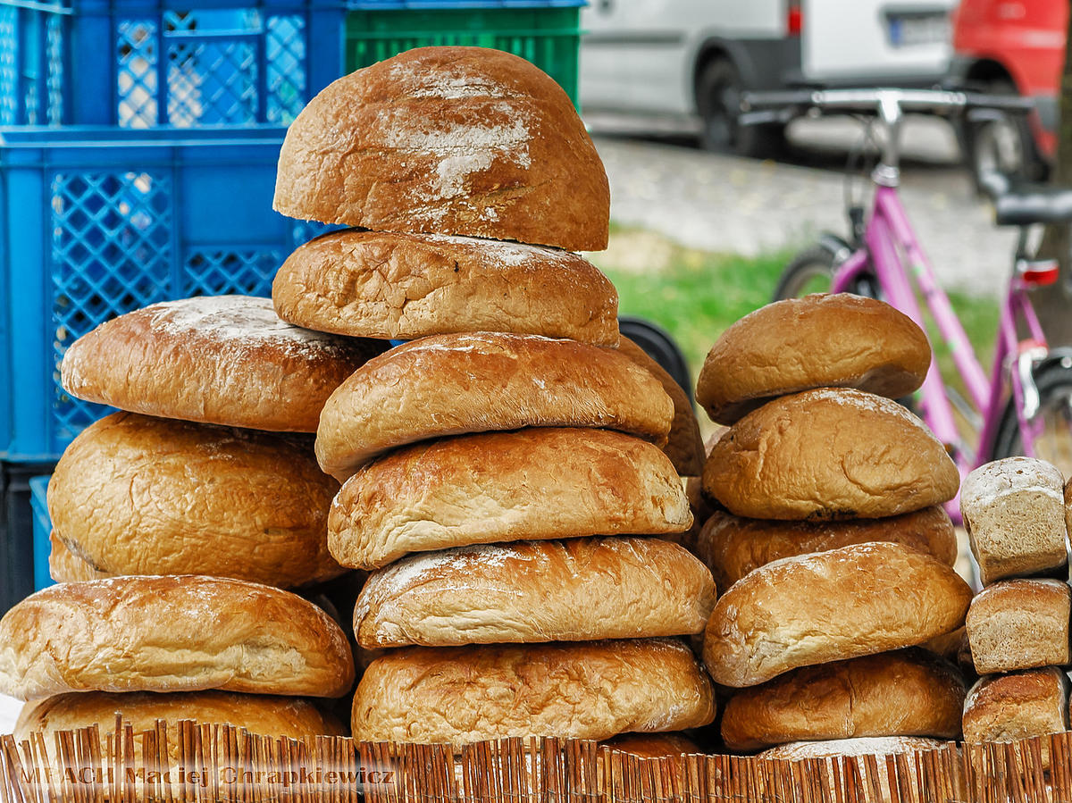 Czy w Polsce wkrótce zabraknie chleba? Istnieje taka możliwość