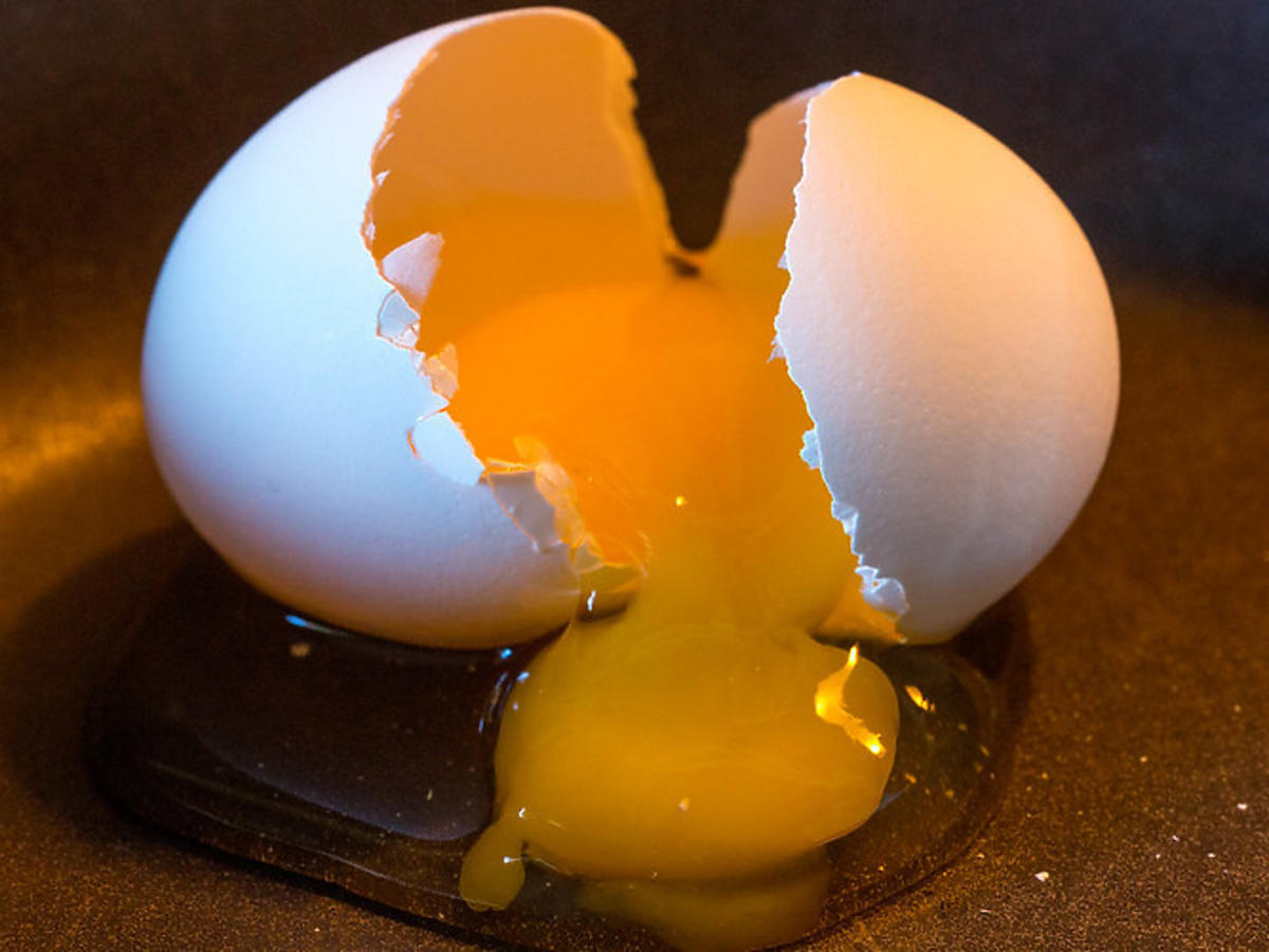 Czy z jajka kupionego w sklepie może wykluć się pisklę? Oto, czego można spodziewać się po rozbiciu jajka