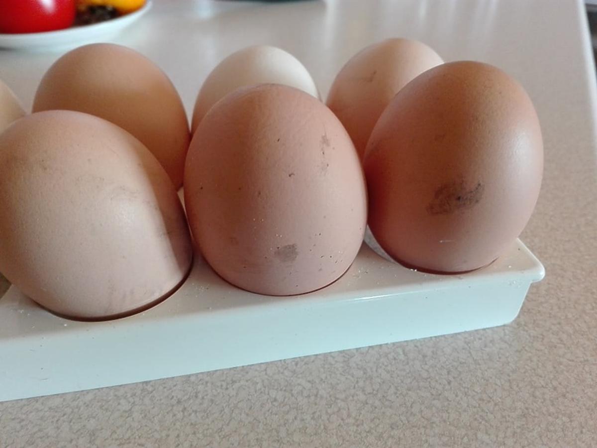 Dlaczego na jajkach ze sklepu znajdują się kurze odchody? Odpowiedź znają nieliczni