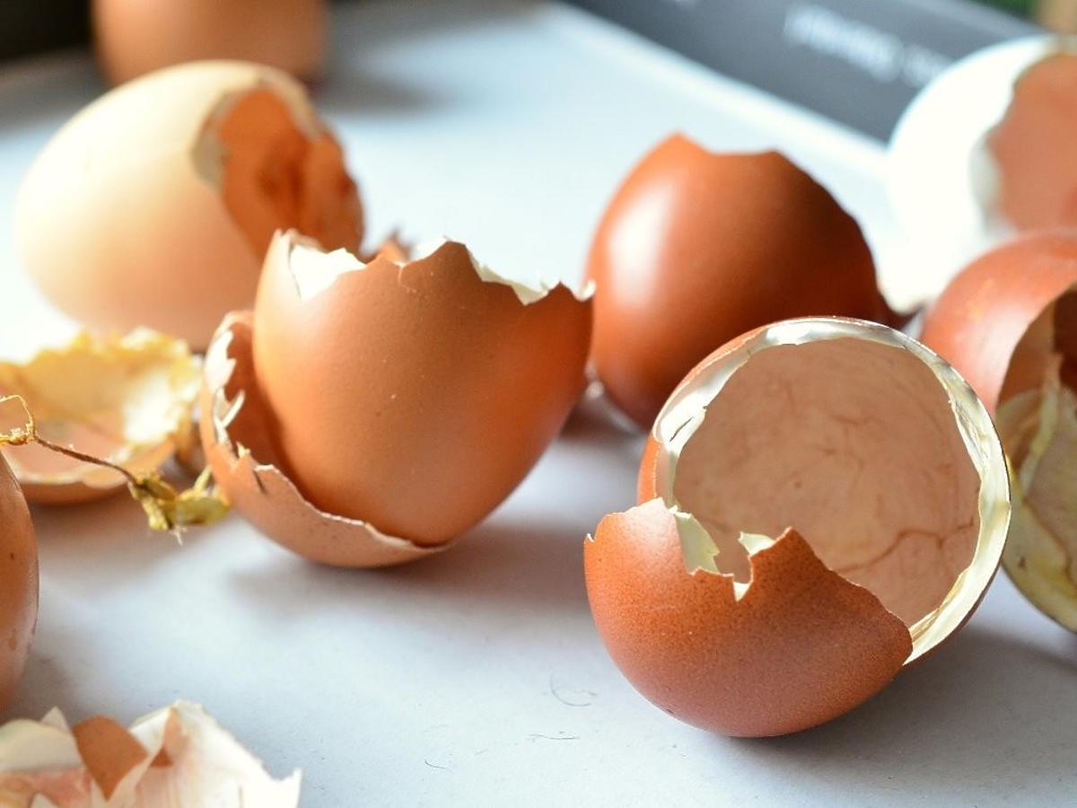 Dlaczego nie powinno się wyrzucać skorupek jaj?