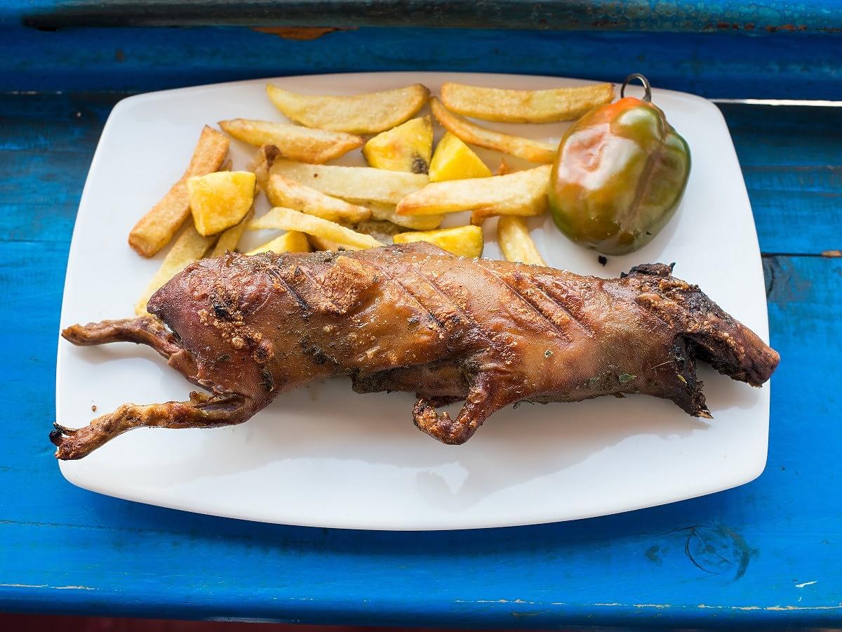 Ewa Wachowicz jadła w Peru świnkę morską. Czy jej posmakowała?