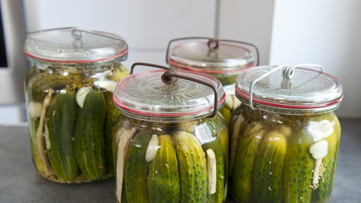Do Kiszenia Ogórków Stosuje Się 8 Procentowy Roztwór Soli Kuchennej Jaką sól dodać do ogórków kiszonych? Tylko jedna się do tego nadaje