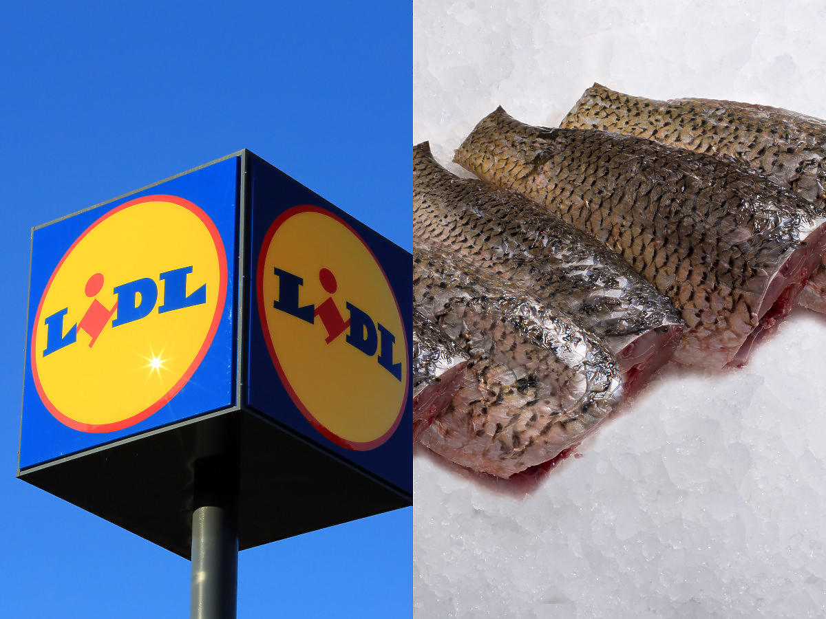 Karp w Lidlu 25% taniej, skrzynka mandarynek 11,99 zł. Biegnijcie do Lidla bo zaraz nic nie zostanie.