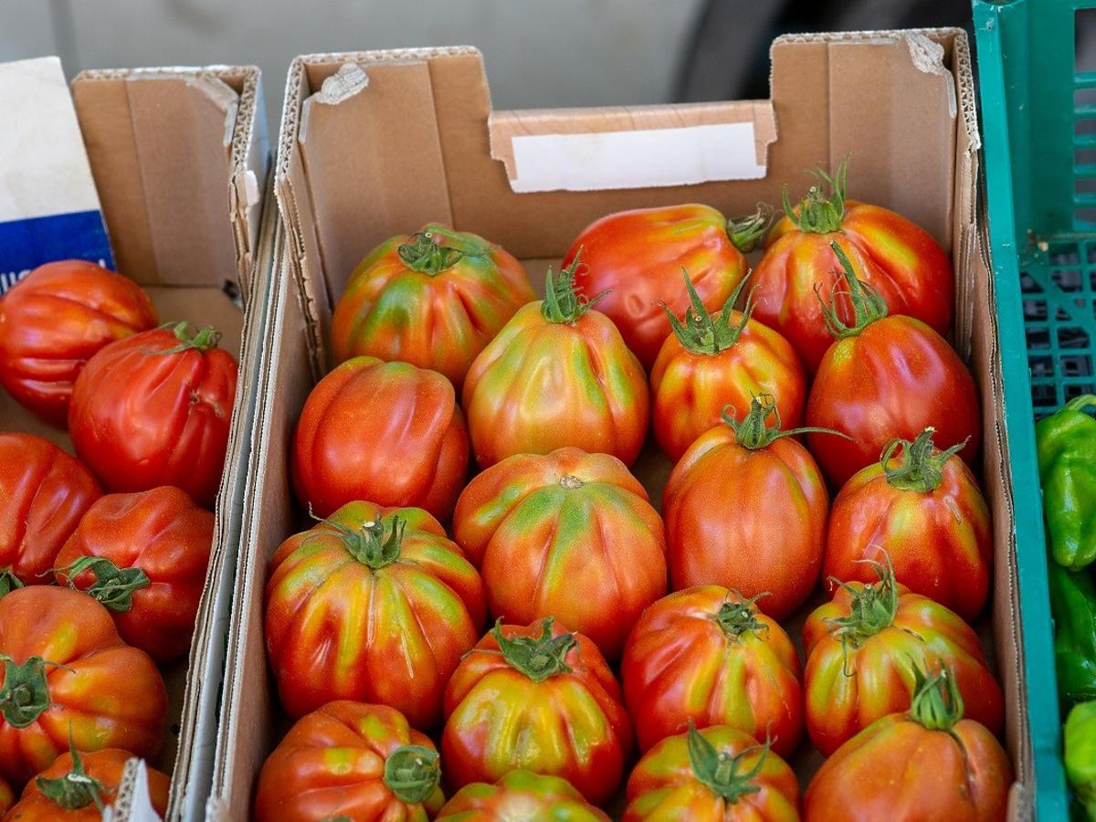 Które pomidory nadają się na przetwory, a które do sałatki? Polacy wciąż mylą gatunki na targu