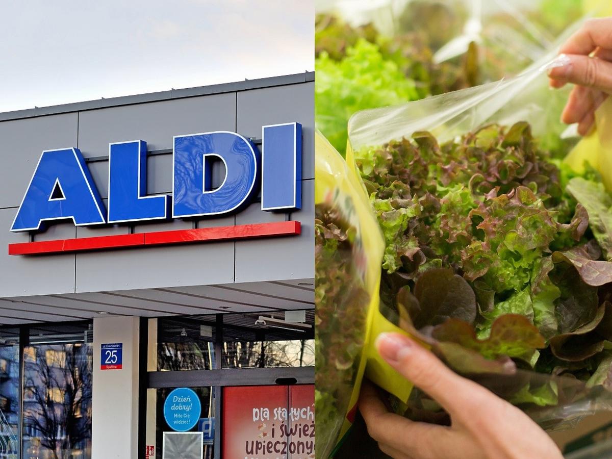 Kupili sałatę w Aldi. W domu znaleźli w niej coś bardzo niebezpiecznego. Musieli wezwać pomoc