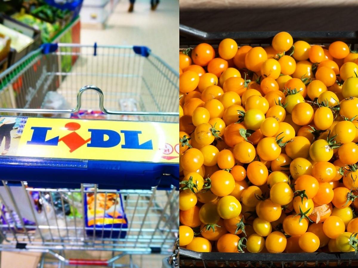 Lubicie żółte pomidory? Sezon na to warzywo zaczyna się właśnie w… Lidlu! Taniej nie ma nigdzie