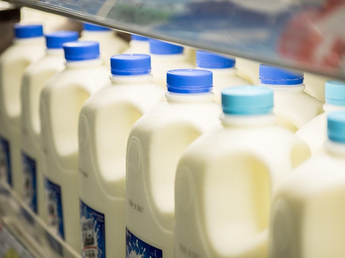 Mleko wciąż drożeje. Takich wzrostów cen nie było od lat. Też to zauważyliście?