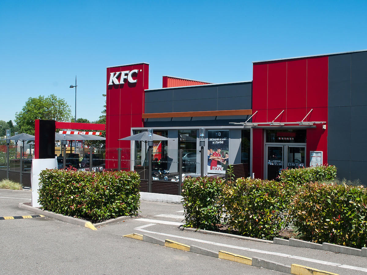 Młode lisy opanowały KFC w Wadowicach. Podkradają ludziom jedzenie