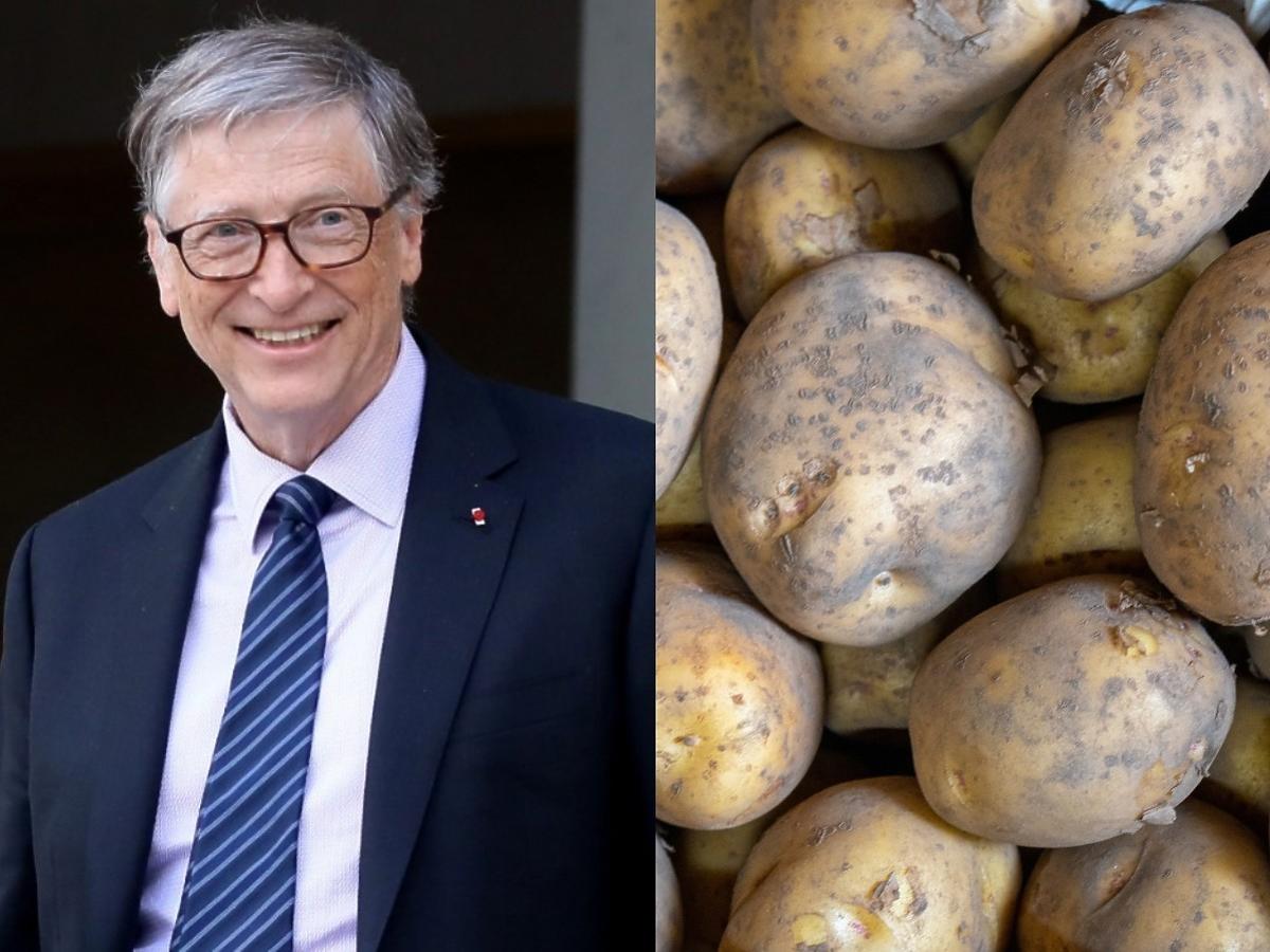 Multimiliarder Bill Gates dostarcza ziemniaki do McDonald’s. Od informatyka do rolnika?