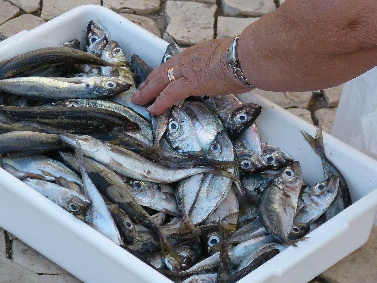 ”Nie jedzcie ryb z Bałtyku więcej niż raz w tygodniu”. Szwedzi idą dalej: 2-3 razy w roku