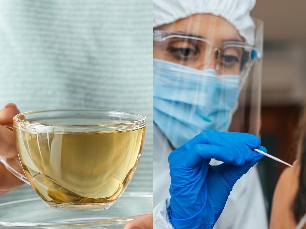 Po wypiciu syropu ziołowego test na COVID-19 wyjdzie niewiarygodny