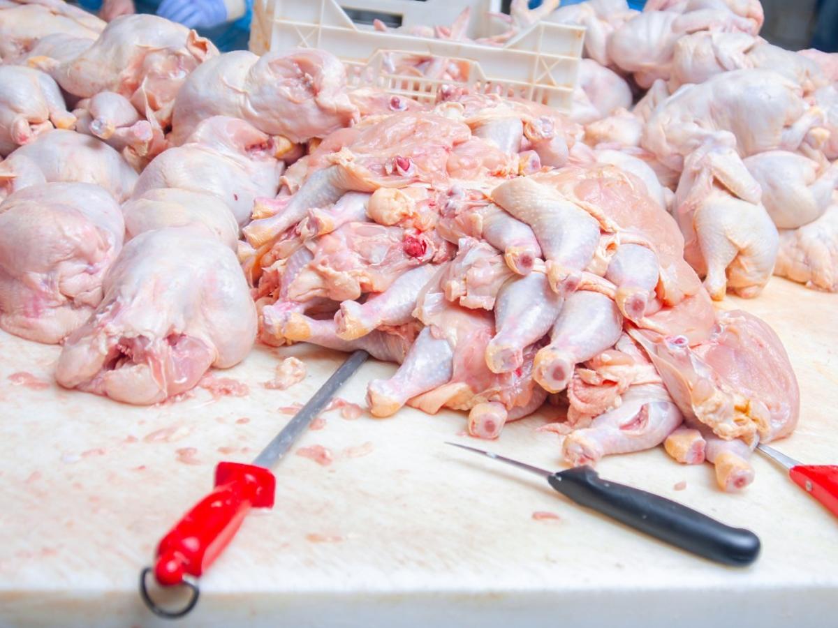 Polskie indyki zakażone ptasią grypą zostały przerobione na kebaby. Mięso zostało sprzedane