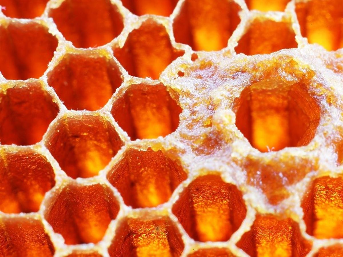 propolis