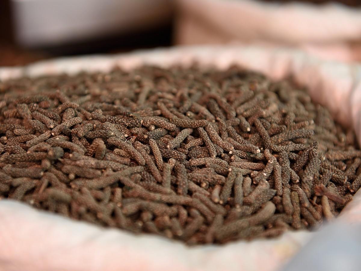 Ta przyprawa pomaga przy reumatyzmie, niestrawności i zaparciach. Słyszeliście o długim pieprzu?