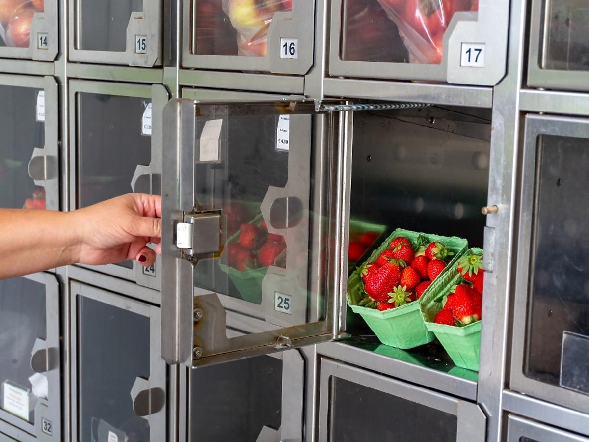 Ten sadownik sprzedaje owoce w automacie. Czy to koniec z handlem przy drodze?