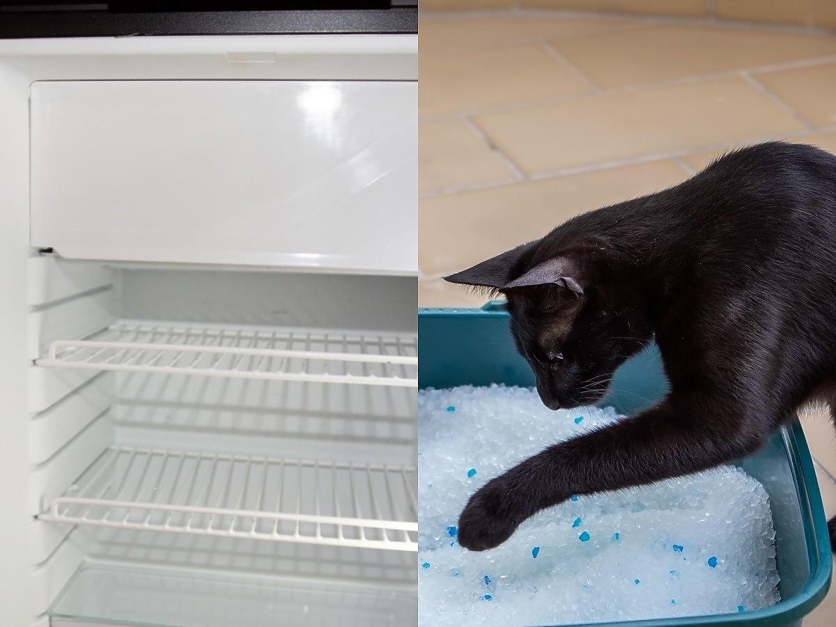 Włóżcie do lodówki kilka łyżek żwirku dla kota i odczekajcie. Efekt jest zdumiewający