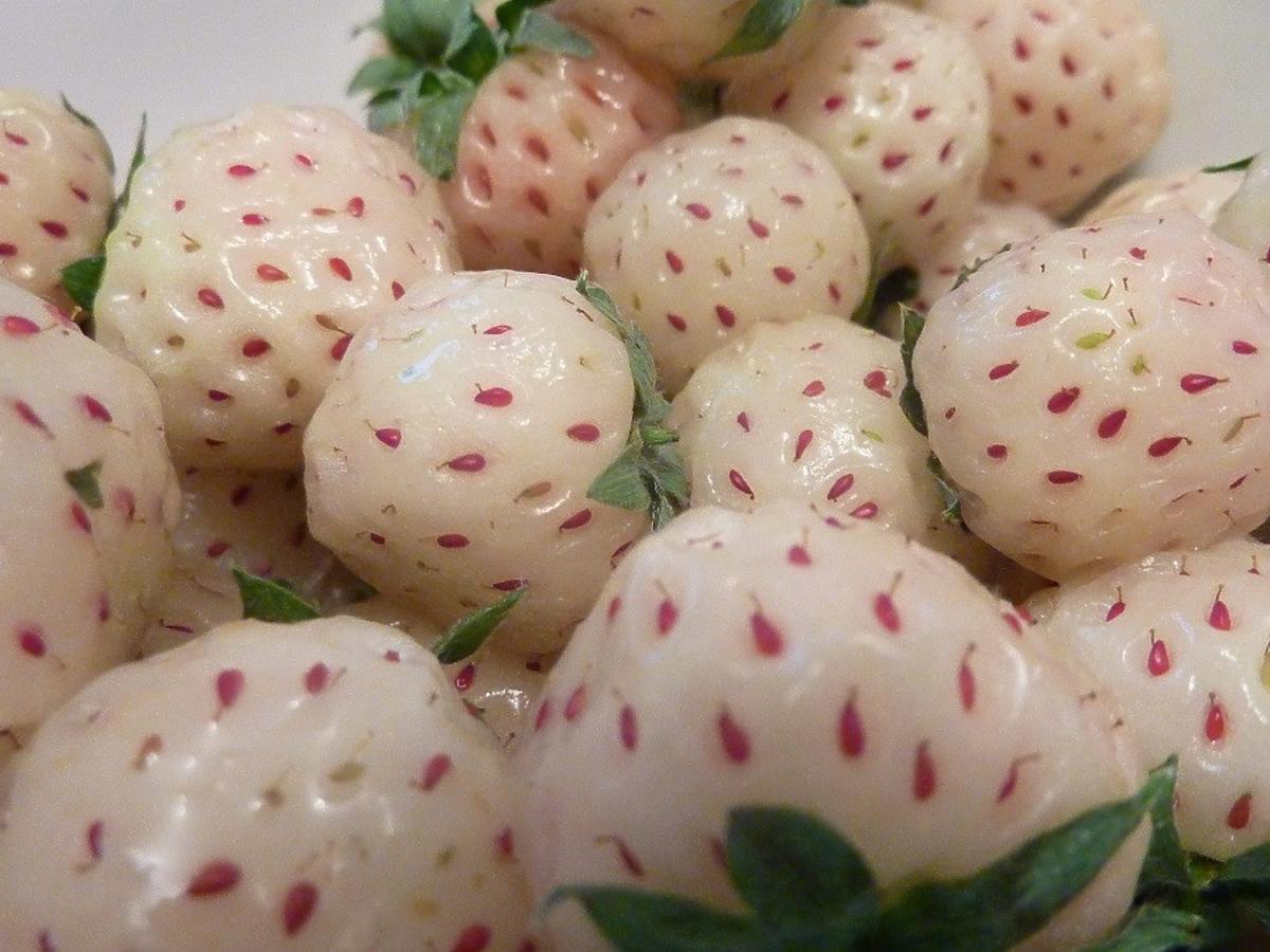 Wygląda jak truskawka, a smakuje jak ananas. Jest w Biedronce, ale klienci jeszcze jej nie zauważyli